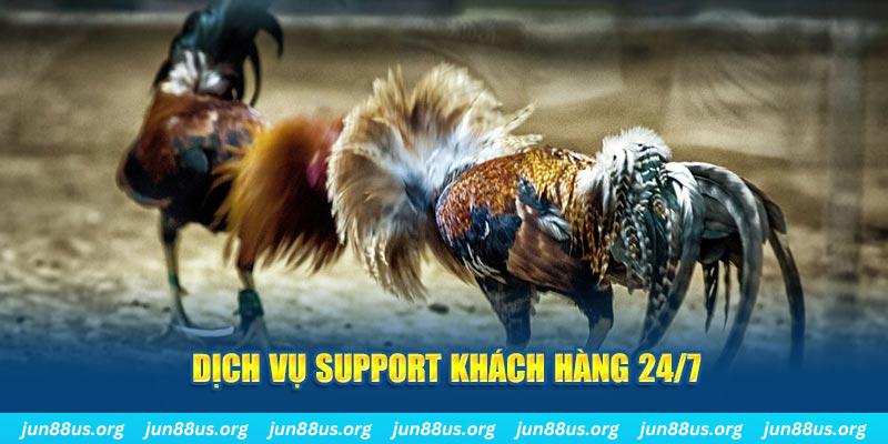 789bet vip ÁT CHỦ BÀI GIÀNH LẤY ZHUANG NIUNIU ( XEM 4 LÁ )