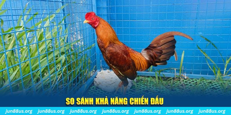 789bet vip CQ9 Điện Tử
