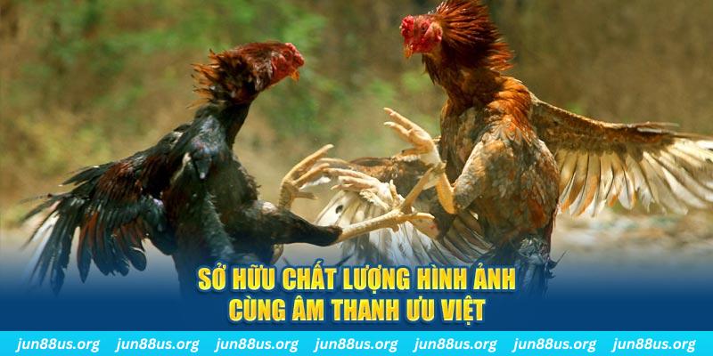 789bet vip PP Điện Tử