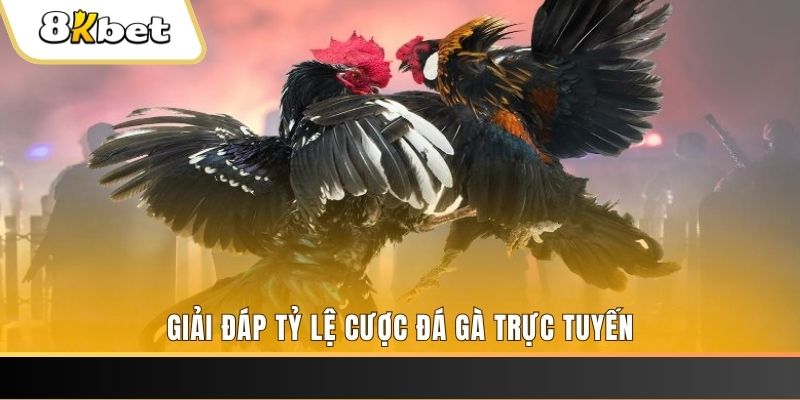 789bet vip xổ số đài miền trung