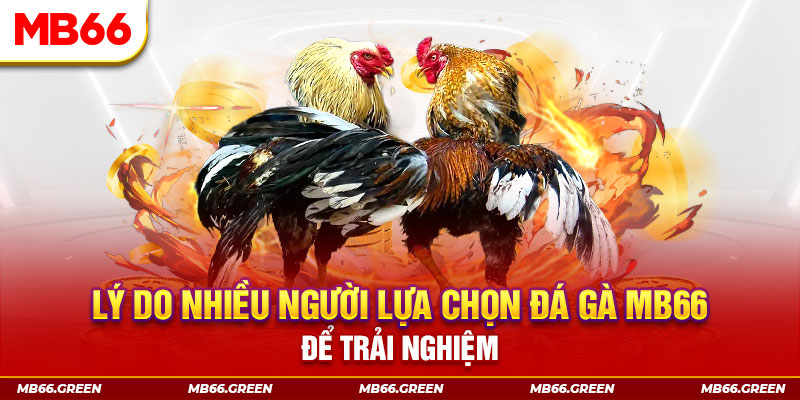 789bet vip xổ số miền bắc thứ bảy hàng tuần