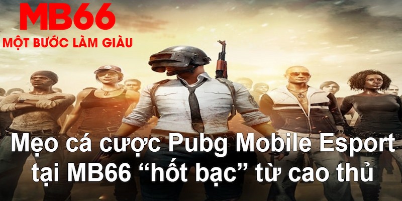 789bet vip VA Bắn cá