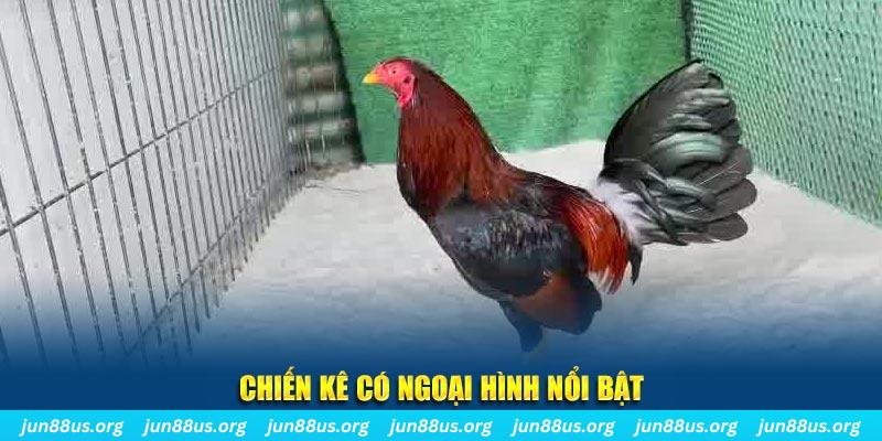 789bet vip game nổ hũ là gì