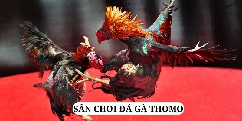 789bet vip trực tiếp xổ số miền bắc